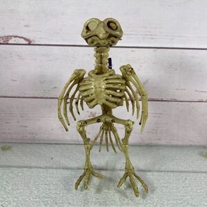 Skeleton Bird Pirate Halloween Decoration Tweety Bones Pirate Gothic Crow 7”